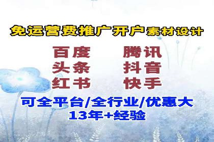 大型企业SEM外包实战案例